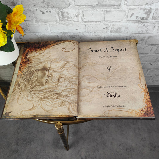 Book of Crosswords or Lily and the Key of Songs Sandrine Gestin Hardcover 2007 French