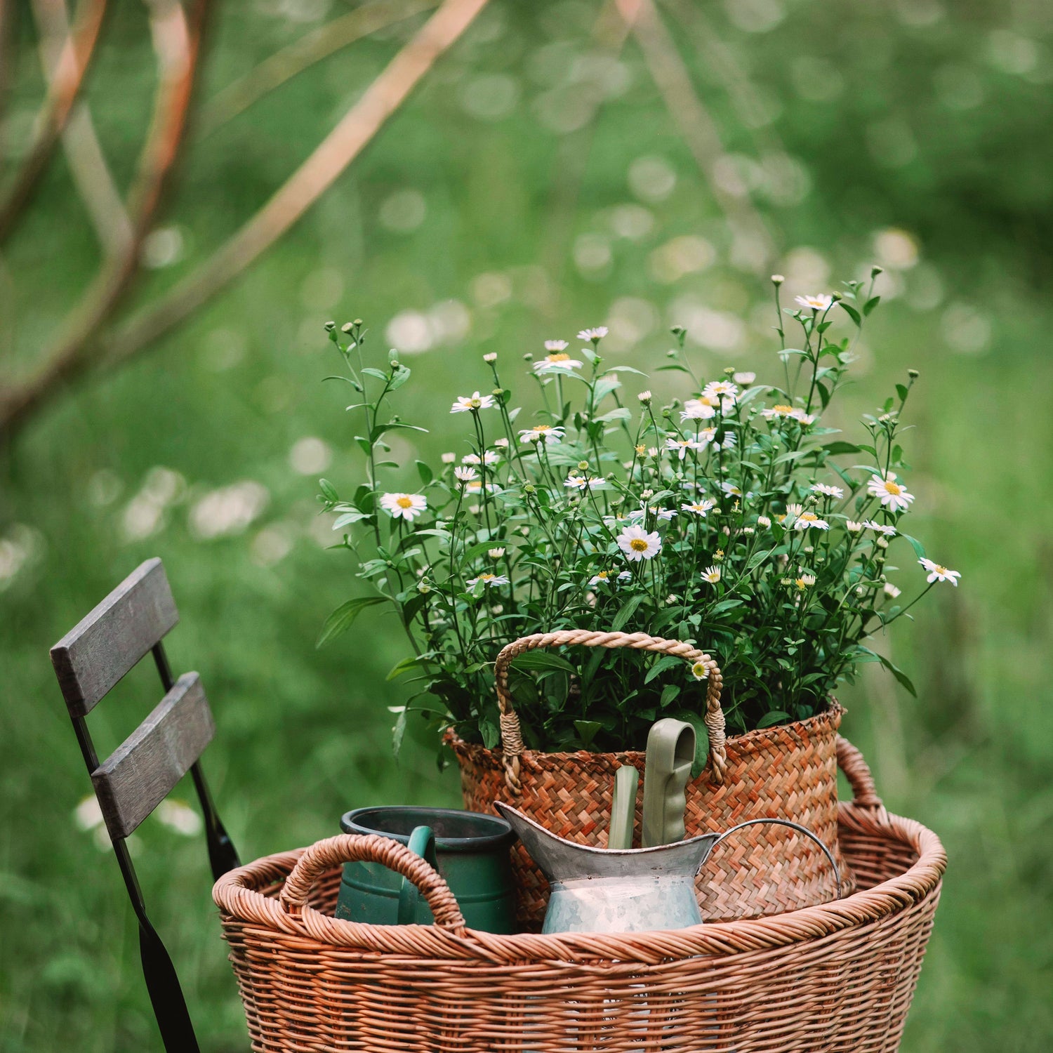 Draußen & Garten