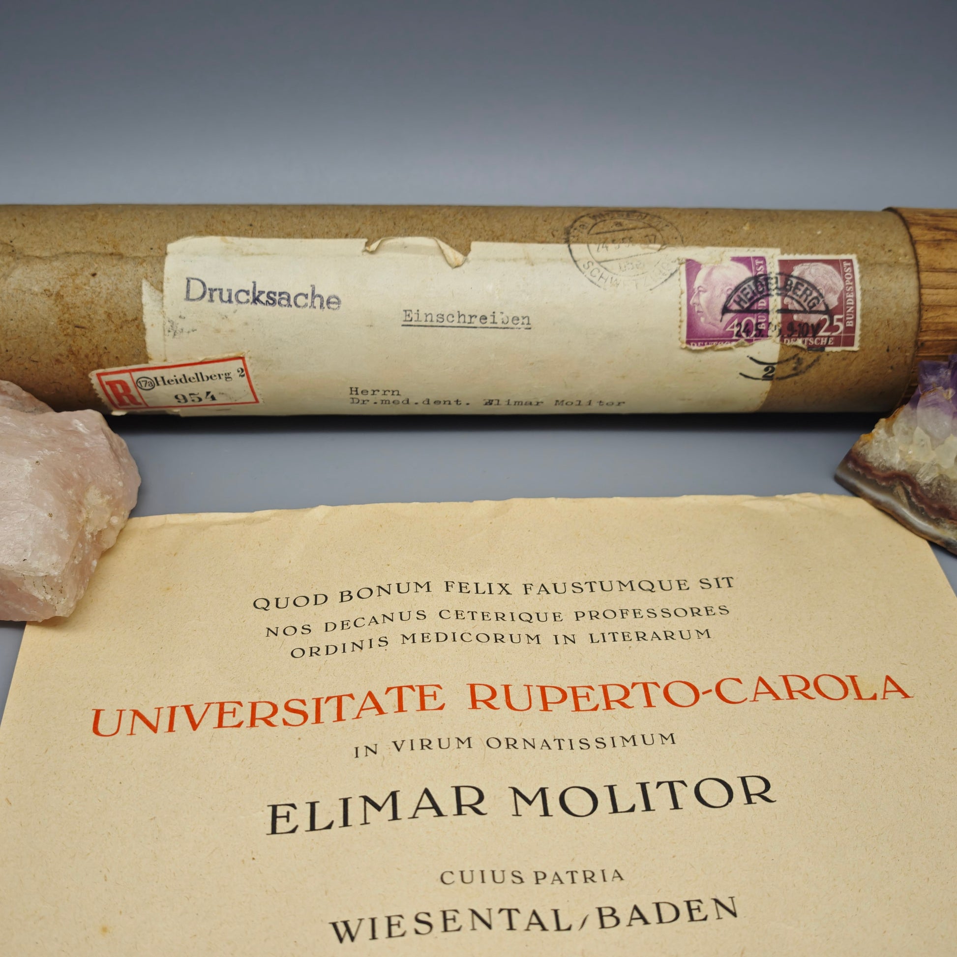Universität Heidelberg Urkunde Promotion 1955 Doktor Medizin Cum Laude Elimar Molitor mit Originalrolle Zeitgeschichte