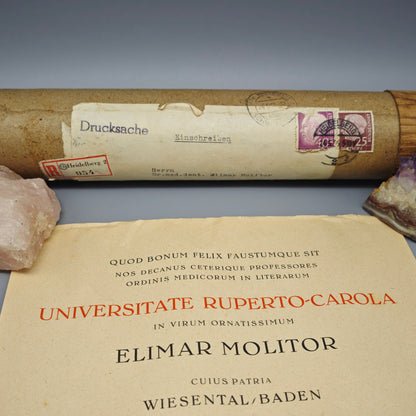 Universität Heidelberg Urkunde Promotion 1955 Doktor Medizin Cum Laude Elimar Molitor mit Originalrolle Zeitgeschichte