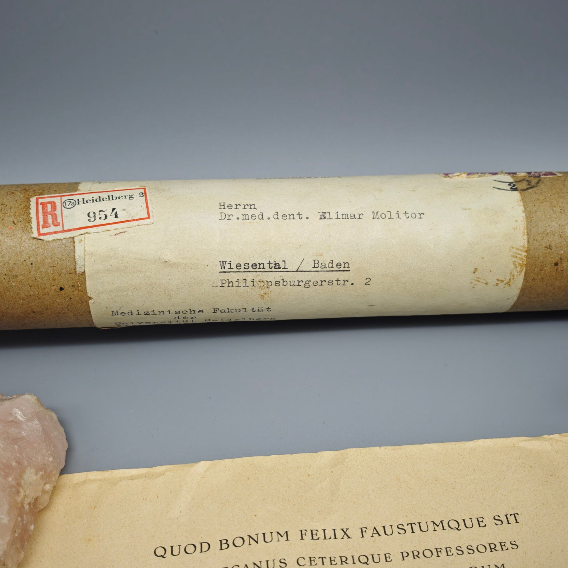 Universität Heidelberg Urkunde Promotion 1955 Doktor Medizin Cum Laude Elimar Molitor mit Originalrolle Zeitgeschichte