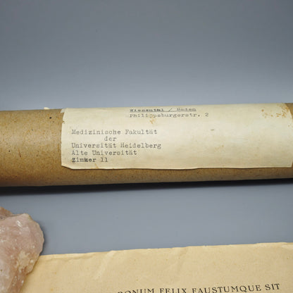 Universität Heidelberg Urkunde Promotion 1955 Doktor Medizin Cum Laude Elimar Molitor mit Originalrolle Zeitgeschichte