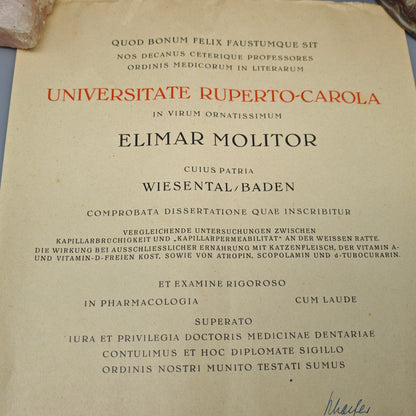 Universität Heidelberg Urkunde Promotion 1955 Doktor Medizin Cum Laude Elimar Molitor mit Originalrolle Zeitgeschichte