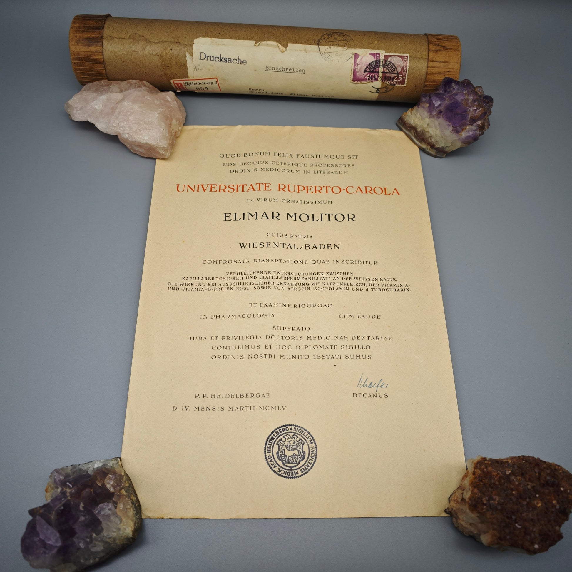 Universität Heidelberg Urkunde Promotion 1955 Doktor Medizin Cum Laude Elimar Molitor mit Originalrolle Zeitgeschichte