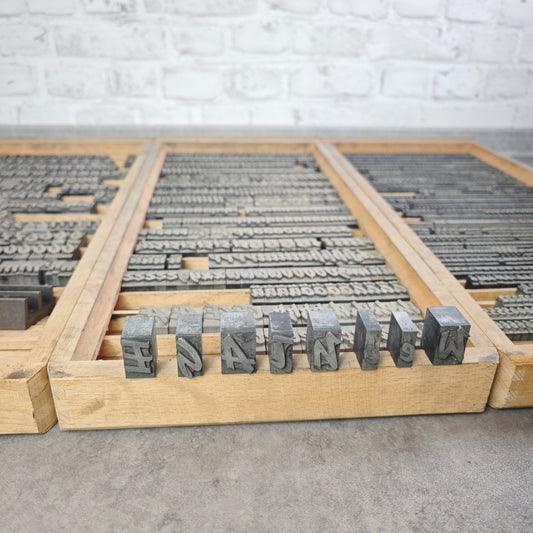 Bleisatz Plakatschrift 72 pt und 36 pt Didot Lettern Buchdrucksatz Brush Buchdruck